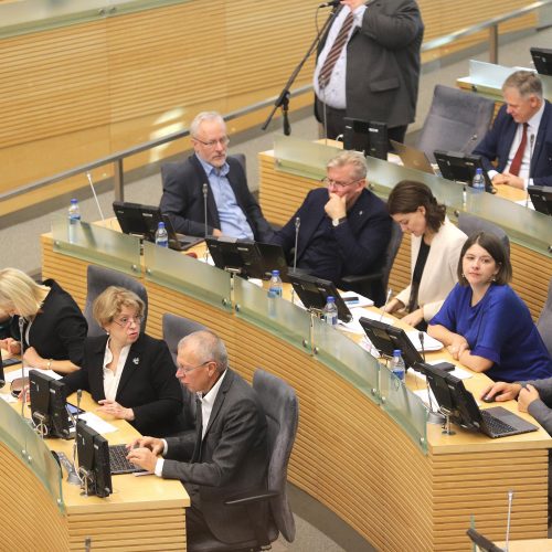 Seimas pradėjo 2020 metų valstybės biudžeto svarstymą   © D. Labučio / ELTOS nuotr.