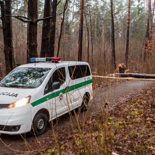 Dėl sprogmens Kleboniškio miške – tarnybų sujudimas  © Laimio Steponavičiaus nuotr.