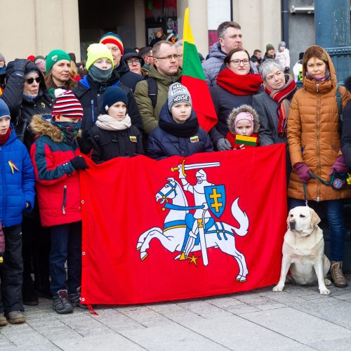 Šventinis trijų Baltijos valstybių pakėlimo ceremonija ir trispalvės nešimas   © Irmanto Gelūno / Fotobanko nuotr.