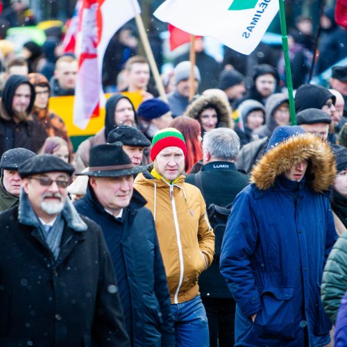 Šventinis trijų Baltijos valstybių pakėlimo ceremonija ir trispalvės nešimas   © Irmanto Gelūno / Fotobanko nuotr.