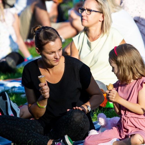 L. Adomaičio koncertas Kairėnų muzikos festivalyje  © P. Peleckio / Fotobanko nuotr.