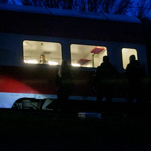 Petrašiūnuose po traukinio ratais žuvo jauna moteris  © Vilmanto Raupelio nuotr.