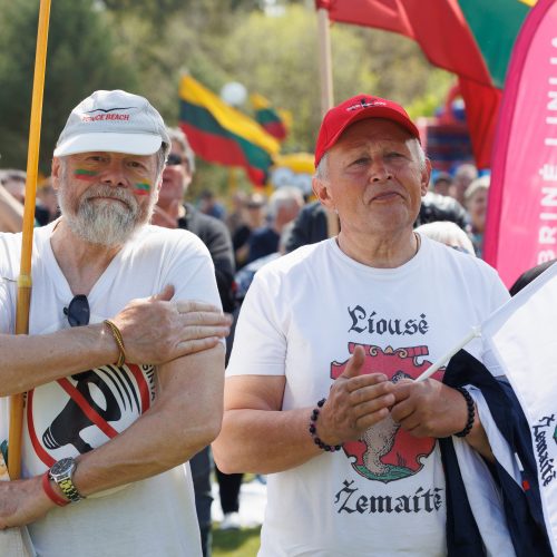 „Didysis šeimos gynimo maršas 2022“   © E. Ovčarenko/BNS nuotr.