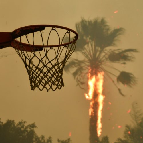 Miškų gaisrai niokoja Kaliforniją  © Scanpix nuotr.
