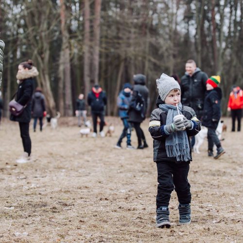 Šunų susitikimas prie Pažaislio vienuolyno  © „Charizma photography“ nuotr.