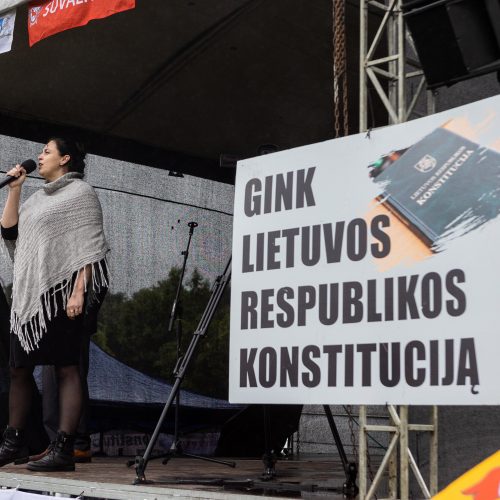 Šeimų sąjūdžio protestas prie Seimo  © L. Balandžio / BNS nuotr.