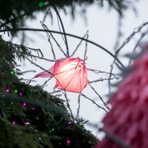 Kauniečiai ir miesto svečiai aplankė kosminę kalėdų eglę  © Vilmanto Raupelio nuotr.