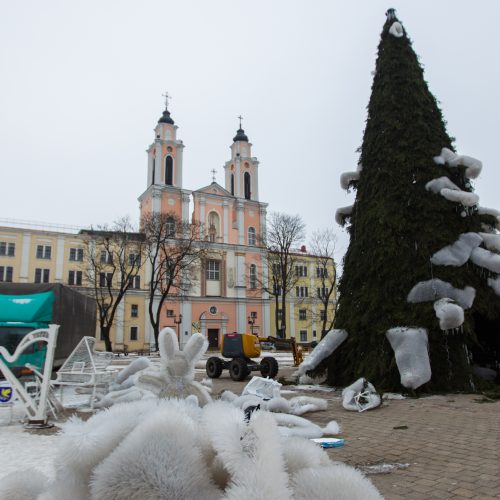 Kaunas atsisveikina su Kalėdų egle  © Laimio Steponavičiaus nuotr.