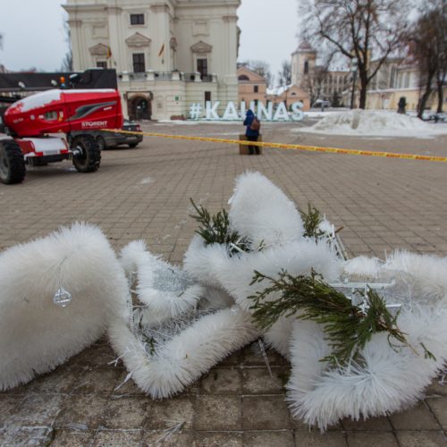 Kaunas atsisveikina su Kalėdų egle  © Laimio Steponavičiaus nuotr.