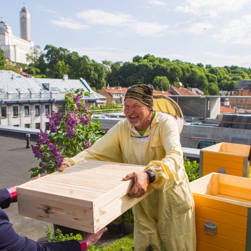 Ant verslo centro stogo apsigyveno bitės  © Laimio Steponavičiaus nuotr.