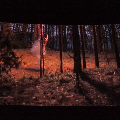 Kaune pristatytas laurus skinantis lietuviškas filmas „Rūgštus miškas“  © Laimio Steponavičiaus nuotr.