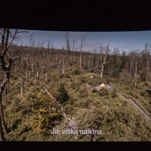 Kaune pristatytas laurus skinantis lietuviškas filmas „Rūgštus miškas“  © Laimio Steponavičiaus nuotr.