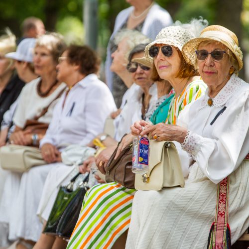 Akcija „Ištark, išgirsk, išsaugok“ Kaune  © Laimio Steponavičiaus nuotr.