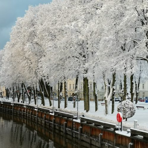 Sniegas Klaipėdoje  © Klaipėdiečių nuotr.