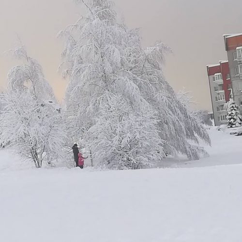 Sniegas Klaipėdoje  © Klaipėdiečių nuotr.