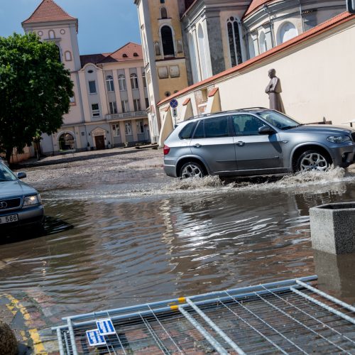 Kauną skandino liūtis  © Skaitytojų, 