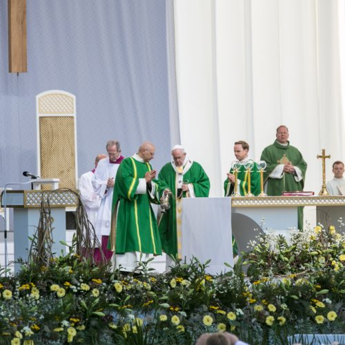 Popiežius Pranciškus meldėsi Santakos parke  © Vilmanto Raupelio nuotr.