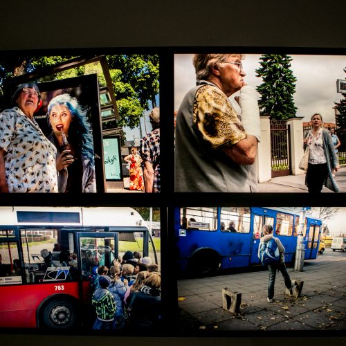 Atidaryta D. Stankevičiaus paroda „At the Bus Stop“  © Vilmanto Raupelio nuotr.