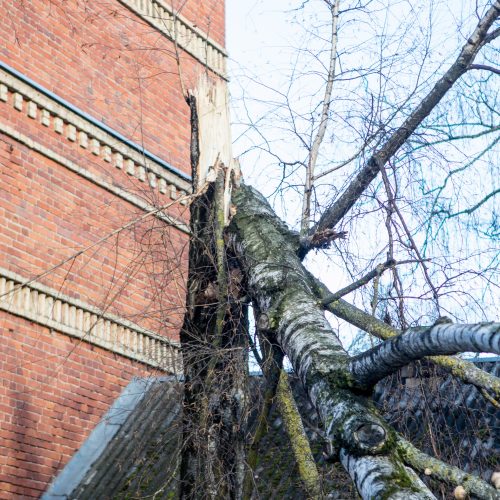 Stiprus vėjas Kaune apgadino namų stogus  © Justinos Lasauskaitės, Vilmanto Raupelio nuotr.