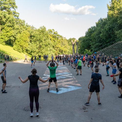 Vieša bokso treniruotė su V.Stapulioniu  © Justinos Lasauskaitės nuotr.