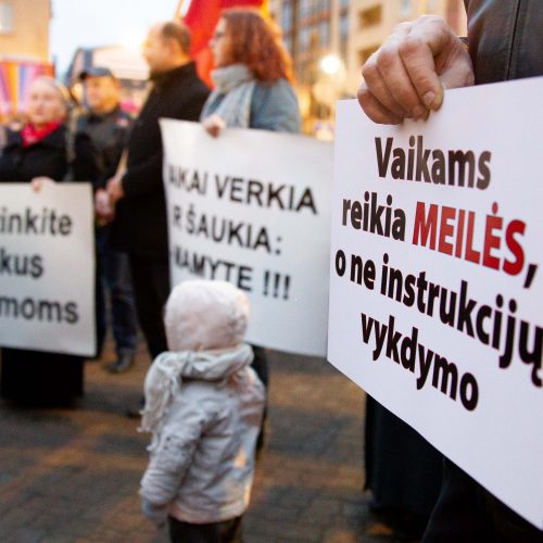 Mitingas prie Seimo dėl vaikų paėmimo iš šeimų  © M. Morkevičiaus / ELTOS, I. Gelūno / BFL nuotr.