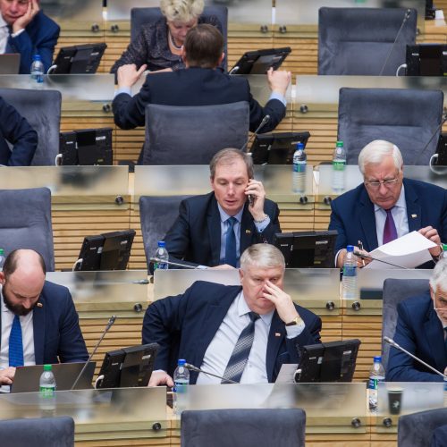 Seime – valstybės biudžeto svarstymas  © Pauliaus Peleckio / BFL, Mariaus Morkevičiaus / ELTOS nuotr.