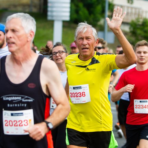 „Danske Bank Vilniaus maratonas 2019“  © I. Gelūno / Fotobanko nuotr.