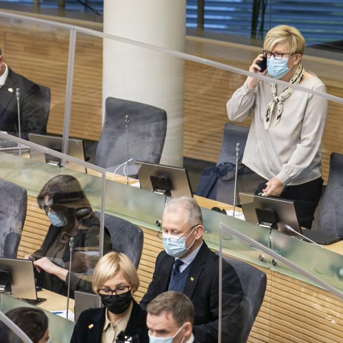 Seimo posėdis dėl 2021 metų biudžeto  © P. Peleckio / Fotobanko nuotr.