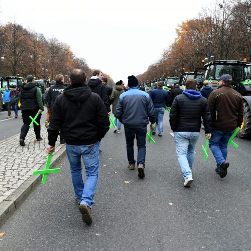 Ūkininkų protestas Berlyne  © Scanpix nuotr.
