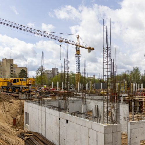 Akcijos „#stabdome statybą“ spaudos konferencija  © I. Gelūno / BNS nuotr.