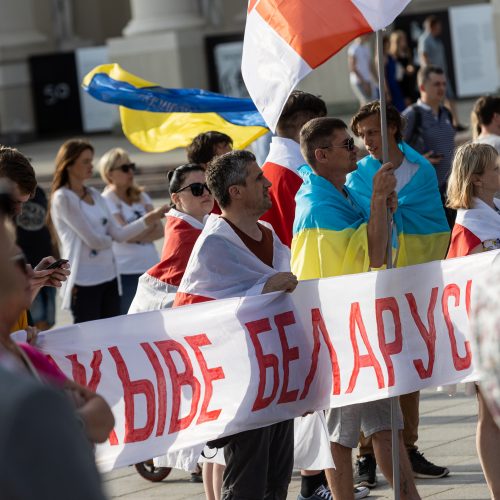 16-asis Pirmadienio mitingas už Ukrainą  © P. Peleckio / BNS nuotr.