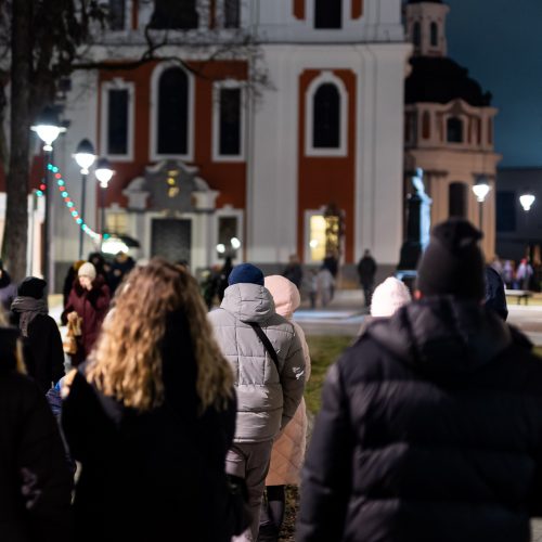 Vilniaus šviesų festivalis  © Ž. Gedvilos / BNS nuotr.