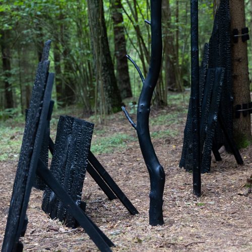 J. Vaitkutės ir A. Mamontovo instaliacijos „Anglies miškas“ pristatymas  © G. Skaraitienės / BNS nuotr.