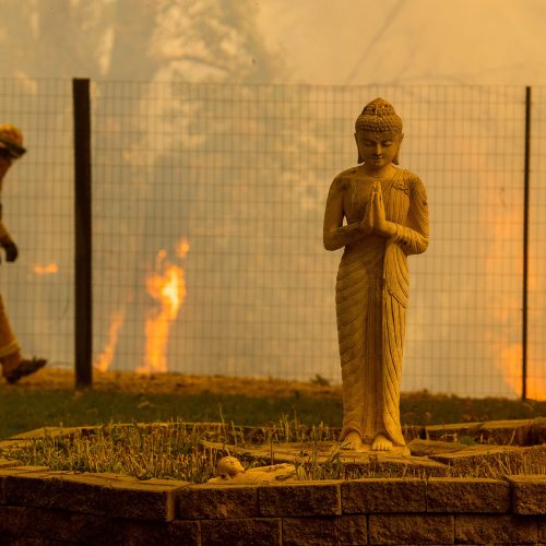 Kalifornijoje siaučia miškų gaisrai  © Scanpix nuotr.