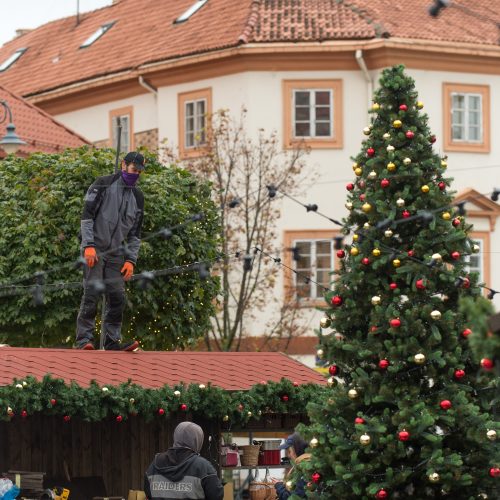 Vilniečius nustebino Kalėdų eglė Rotušės aikštėje  © Butauto Barausko nuotr.