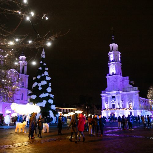 Šventinės Kauno Kalėdų eglės įžiebimo akimirkos  © Justinos Lasauskaitės, Kauno miesto savivaldybės nuotr.