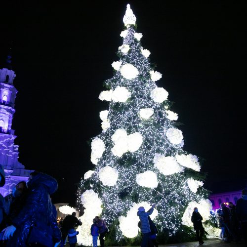 Šventinės Kauno Kalėdų eglės įžiebimo akimirkos  © Justinos Lasauskaitės, Kauno miesto savivaldybės nuotr.