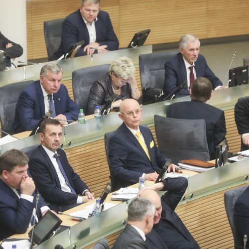 Seime – valstybės biudžeto svarstymas  © Pauliaus Peleckio / BFL, Mariaus Morkevičiaus / ELTOS nuotr.