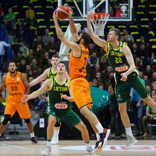 Krepšinis: Lietuva - Olandija 95:93  © Dainiaus Labučio/ELTOS nuotr.