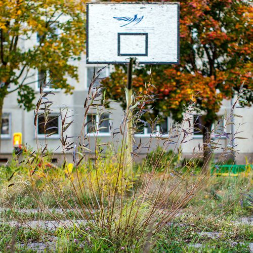Apleistos krepšinio aikštelės Šiaurės prospekte  © Evaldo Šemioto nuotr. 