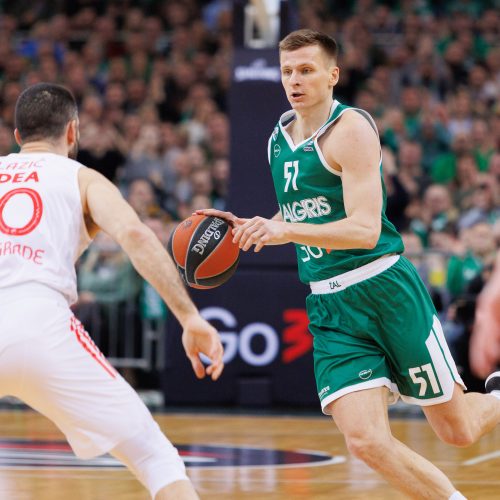 Eurolyga: Kauno „Žalgiris“ – Belgrado  „Crvena zvezda“ 71:66  © E. Ovčarenko / BNS nuotr.