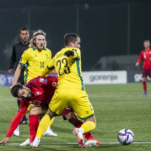 Pasaulio futbolo čempionato atranka: Lietuva – Šveicarija 0:4  © L.Balandžio/Fotobanko nuotr. 