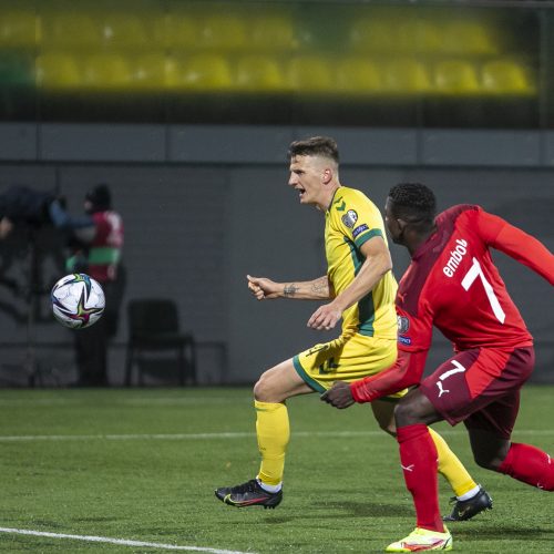 Pasaulio futbolo čempionato atranka: Lietuva – Šveicarija 0:4  © L.Balandžio/Fotobanko nuotr. 