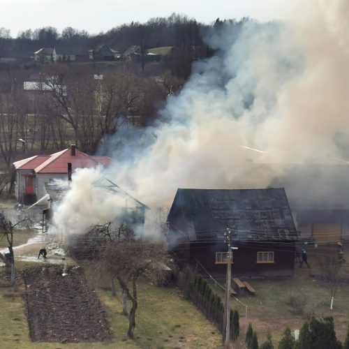 Gaisras Pagramančio miestelyje  © Butauto Barausko nuotr. 