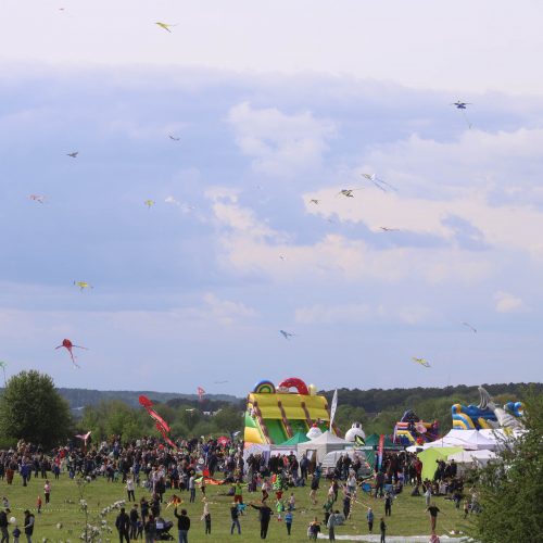 Zapyškio aitvarų festivalis 2022  © Vyčio Šulinsko nuotr.