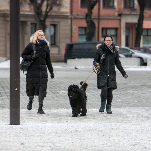 Akcija „Kaunas šoka“ išjudino kauniečius  © Vilmanto Raupelio nuotr.