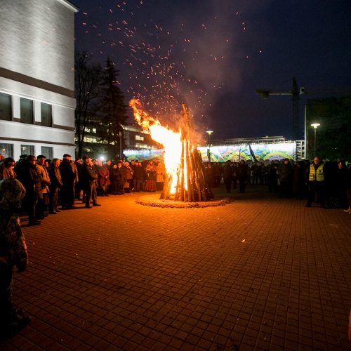 Sausio 13-osios minėjimas Karo muziejaus sodelyje  © Vilmanto Raupelio nuotr.