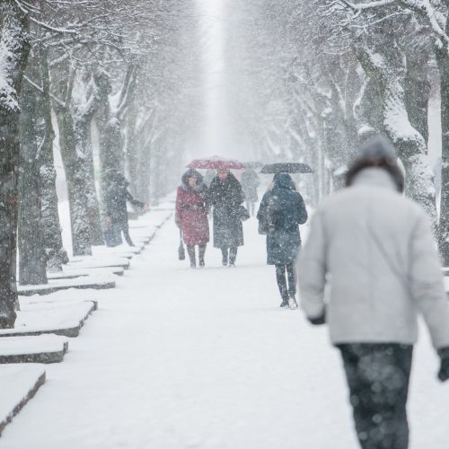 Gausus sniegas Kaune  © Vilmanto Raupelio nuotr.