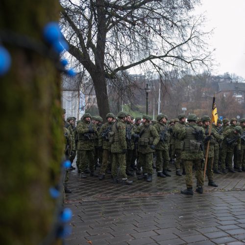 Kariuomenės diena  © Akvilės Snarskienės nuotr.