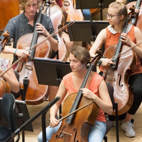 Pažaislio festivalyje-ES jaunimo orkestras  © Akvilės Snarskienės nuotr.